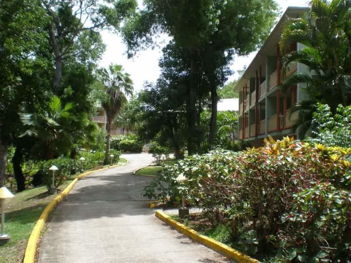 Chez Chrys Apartamento Sainte-Anne Exterior foto